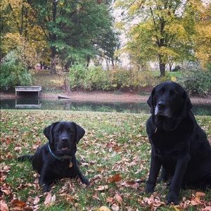 Meet your Posher, Riley